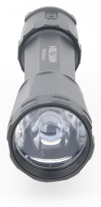 RAID · foto 3 de 8